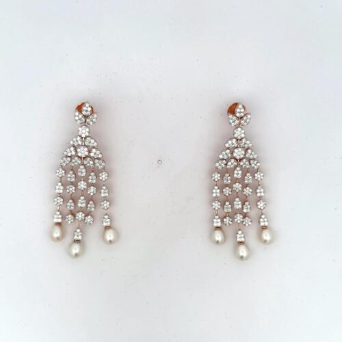 WhatsApp Image 2024-01-20 at 4.31.43 PM (1) ERDC-00026