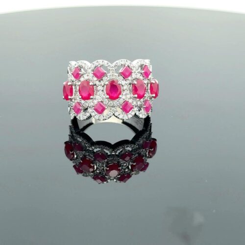 WhatsApp Image 2024-01-22 at 10.59.58 AM (6) RDC-0046