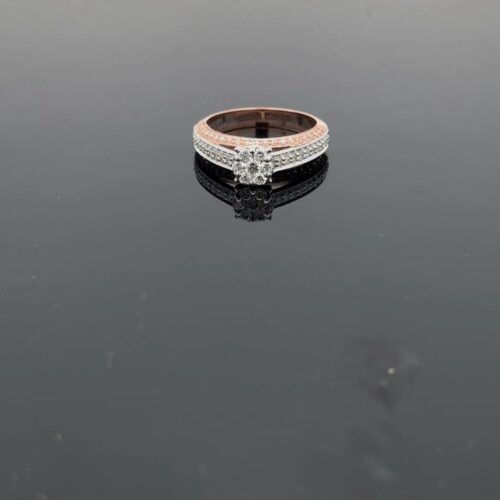 WhatsApp Image 2024-01-22 at 12.21.30 PM (3) RD-00076