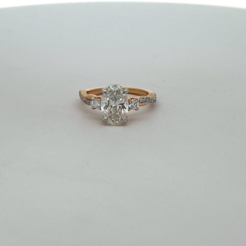 WhatsApp Image 2024-01-27 at 3.52.19 PM (2) RDN-00077