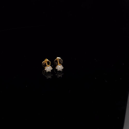 EDN00081_1 EDN-00081