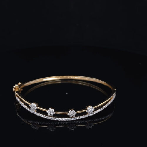 BRDN00059_1 BRDN-00059