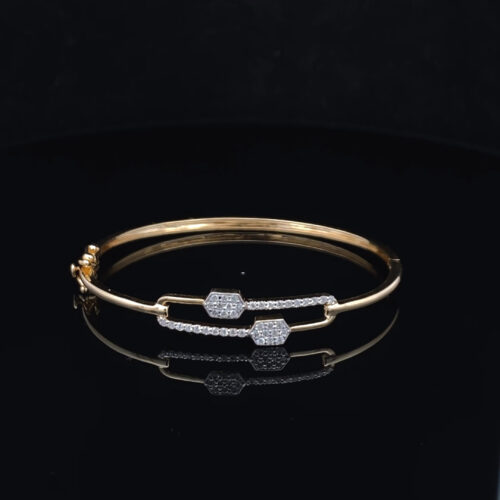 BRDN00060_1 BRDN-00060