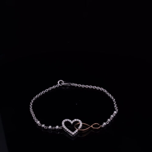 BRDN00064_1 BRDN-00064