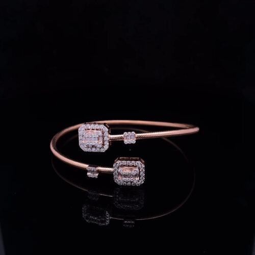 BRDN00073_1 BRDN-00073