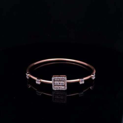 BRDN00074_1 BRDN-00074