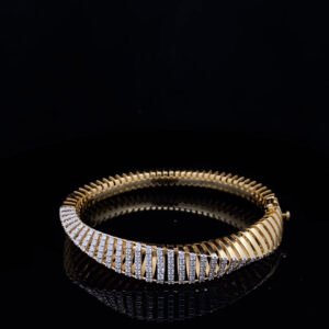 BRDN00075-2